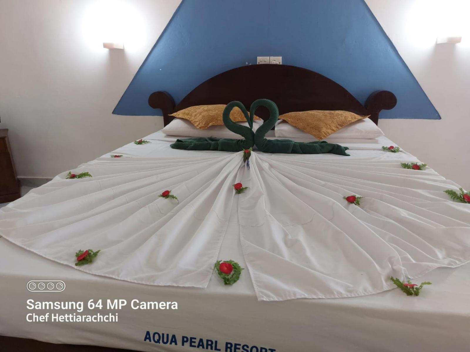ホテル Aqua Pearl Bolgoda Lake パナドゥラ エクステリア 写真